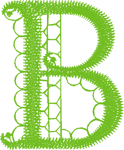 B