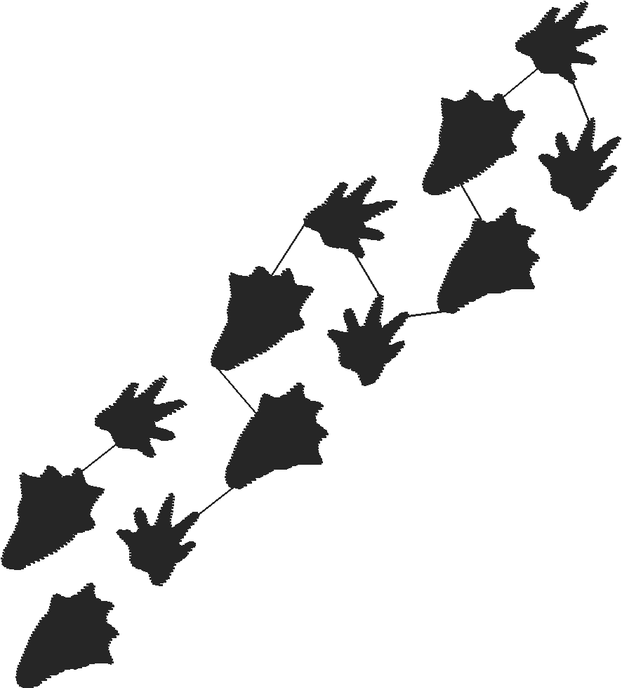 Beaverwalking