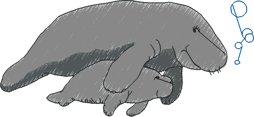 Animals 17   Kids 6  (23)