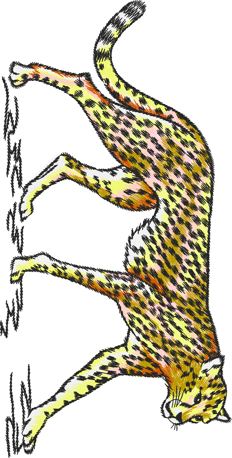 Animals 24   Wildlife 04 (29)