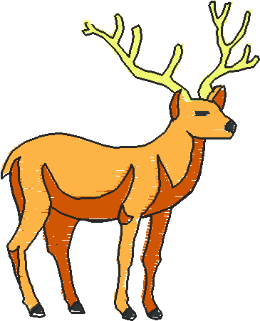 Animals 28   Wildlife 08  (8)