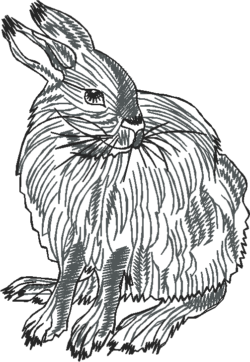 Animals 4 (16)