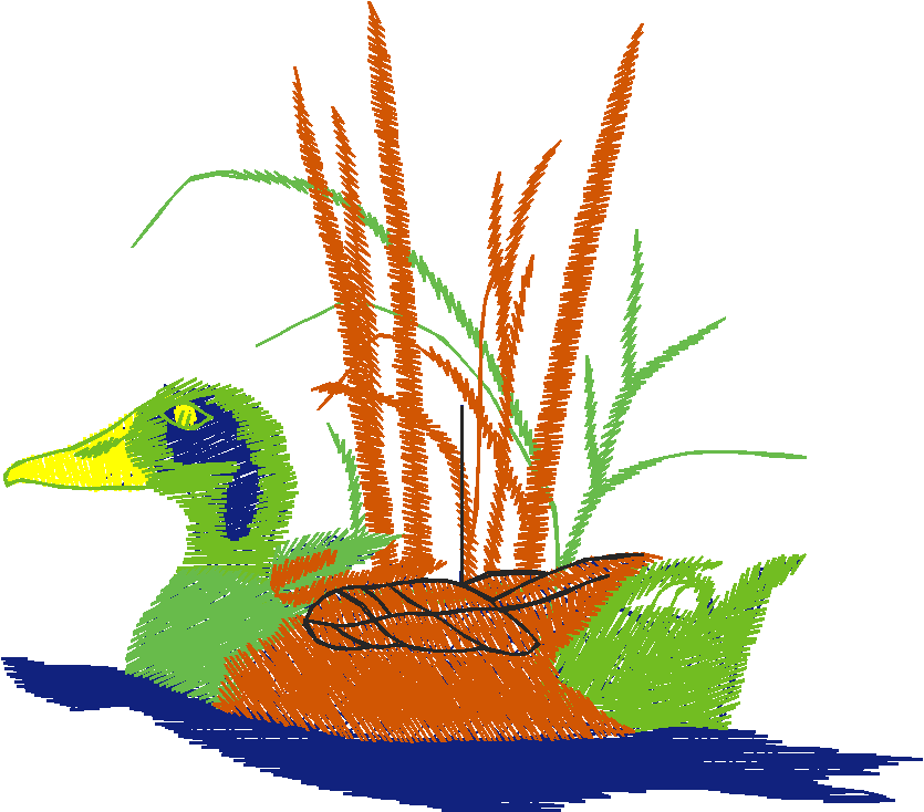 Animals 5 (5)