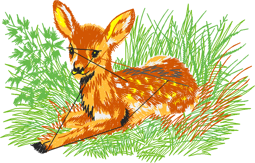 Animals 6 (10)
