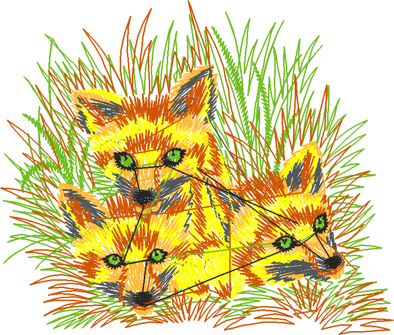 Animals 6 (11)