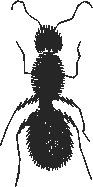 Animals 6 (24)