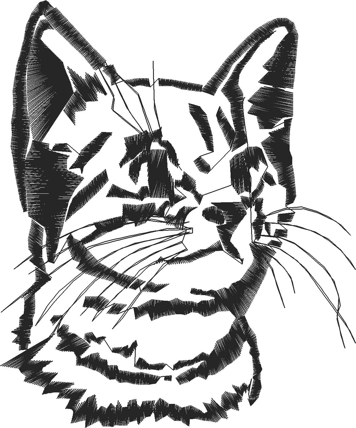 Katze5