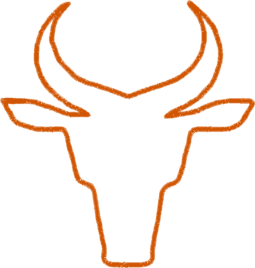 Steer