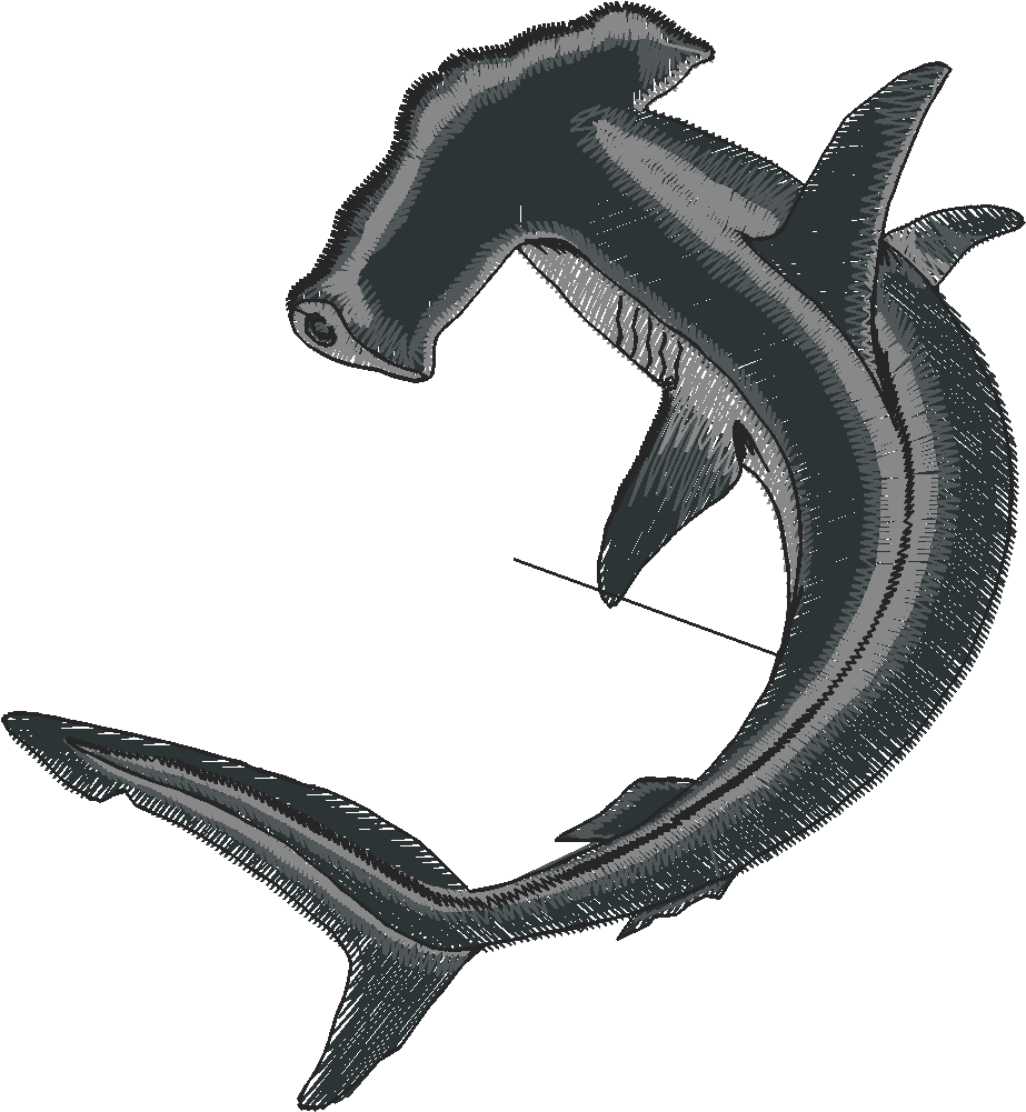 Aquatic 1 (10)