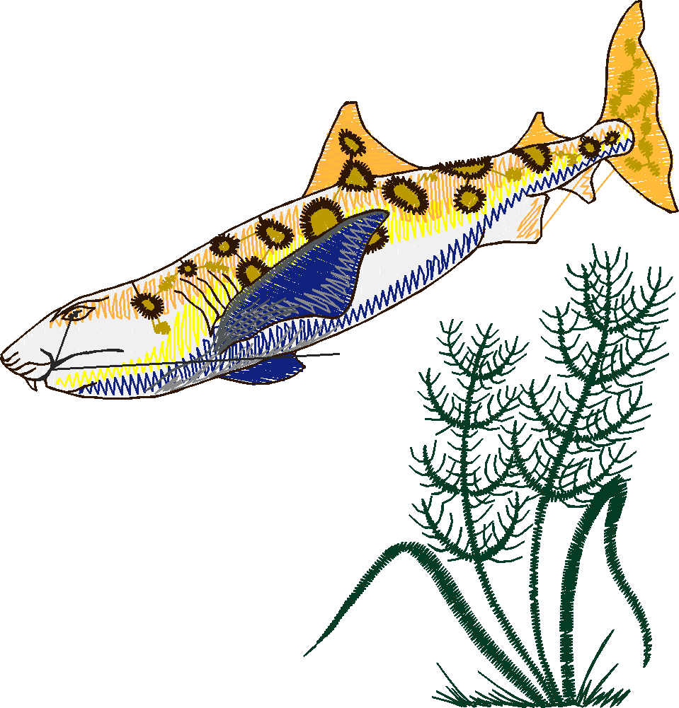 Aquatic 1 (13)