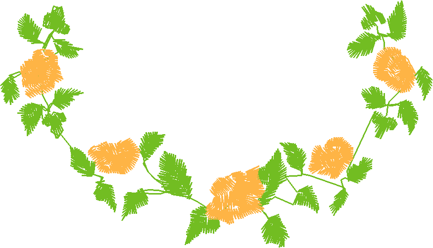 Baby Roses