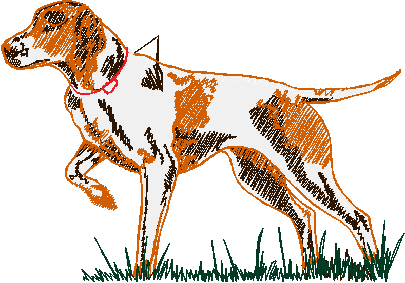 Hond2