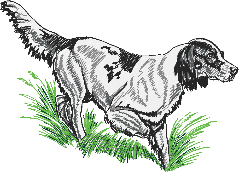 Hond3