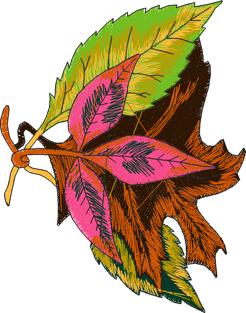 Autumn 1  (12)