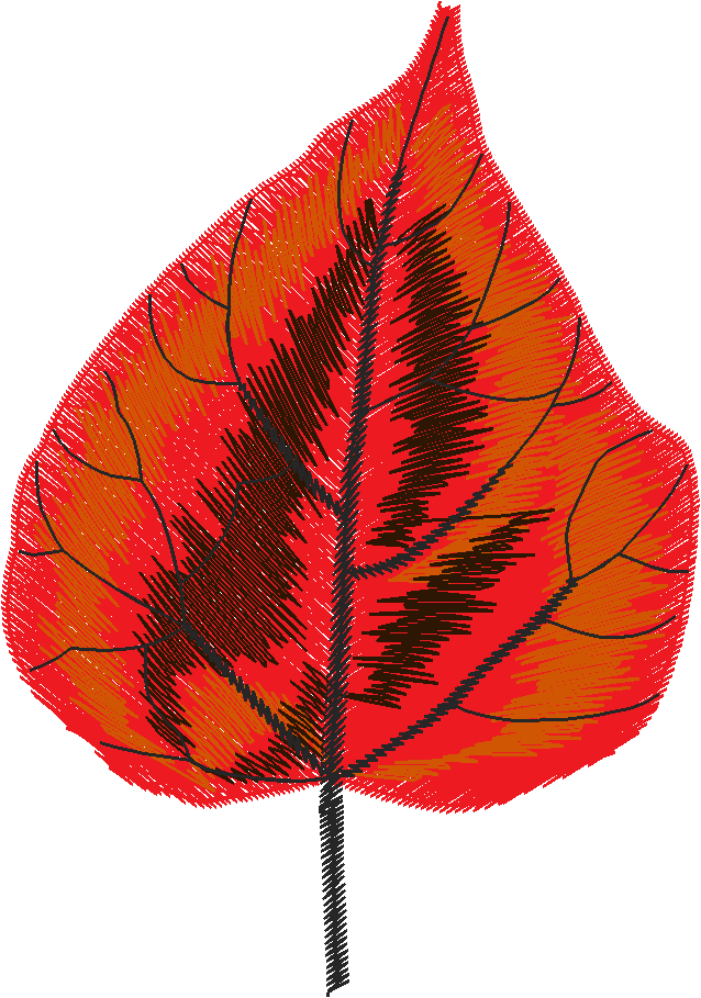 Autumn 2  (9)