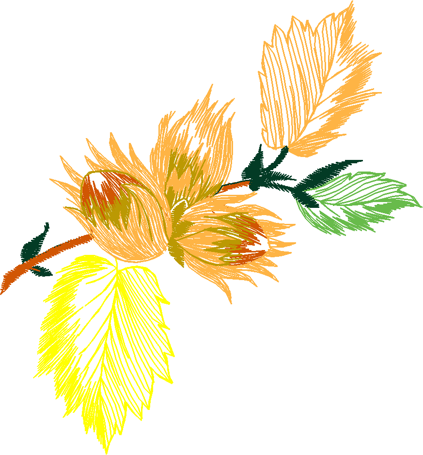 Autumn Leaves 1 (3)