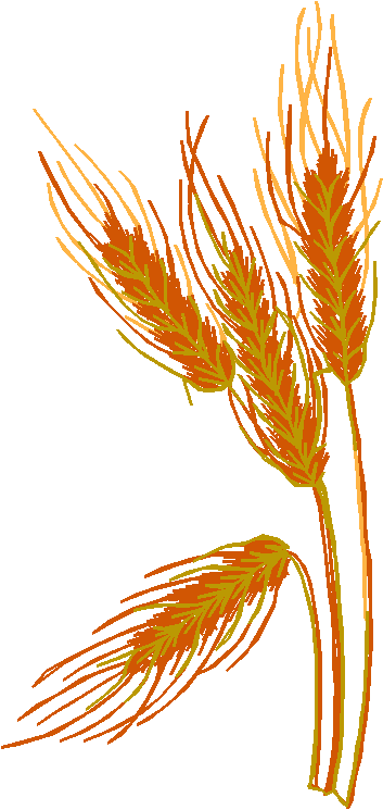 Autumn Leaves 1 (6)