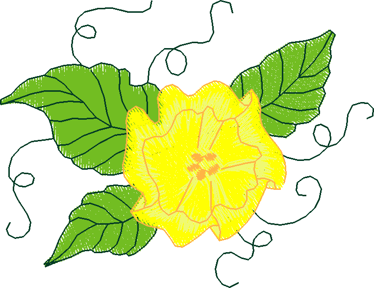 Card031