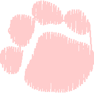 Cj854