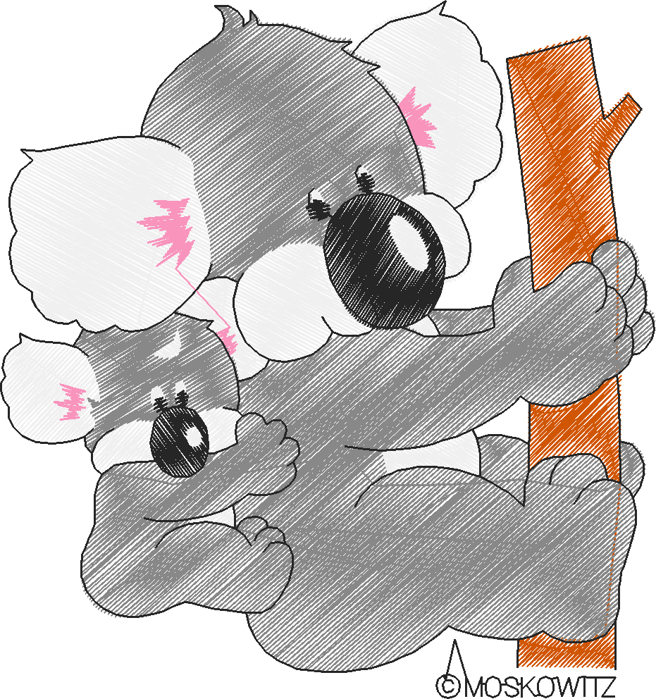 Baby Animals 01  (6)