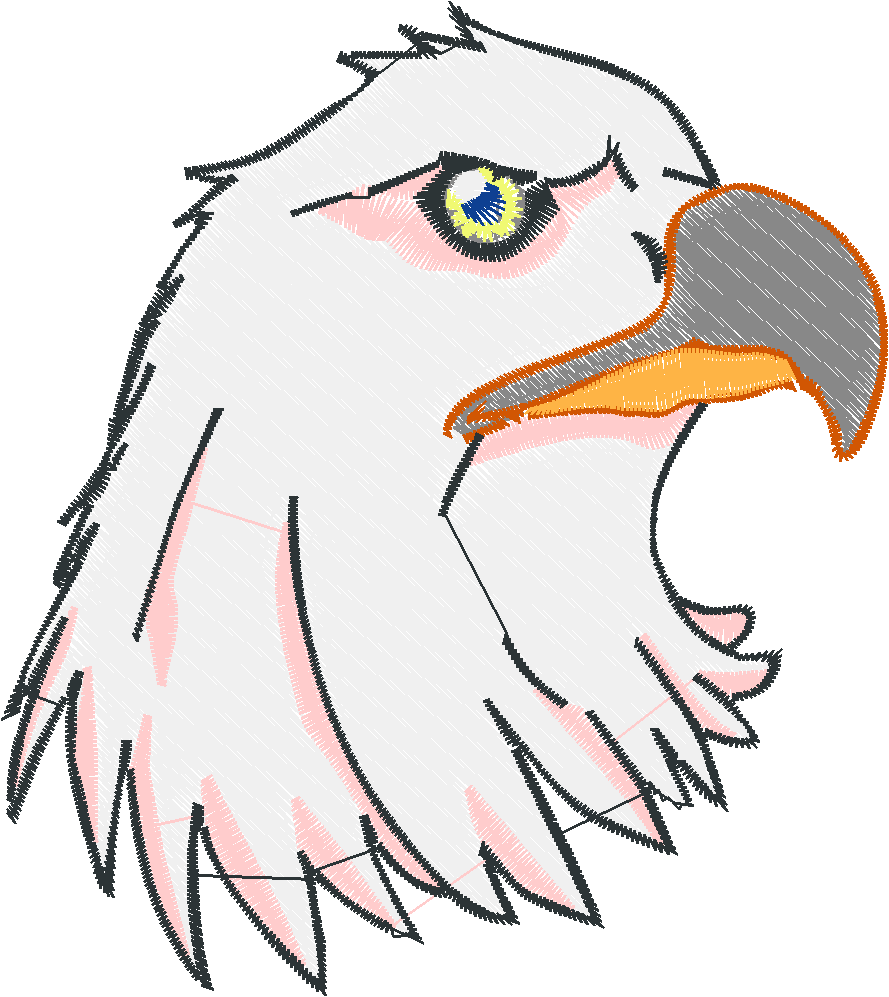 Bald Eagles 1 (4)