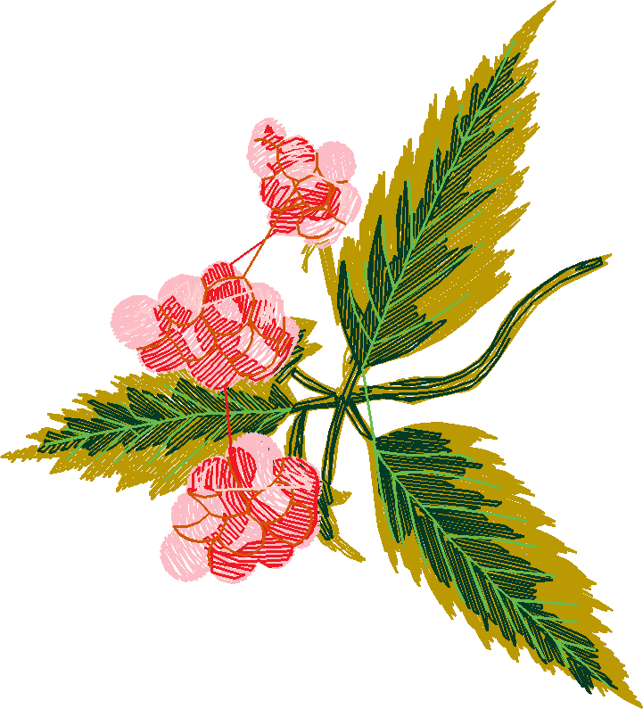 Berries 1 (7)