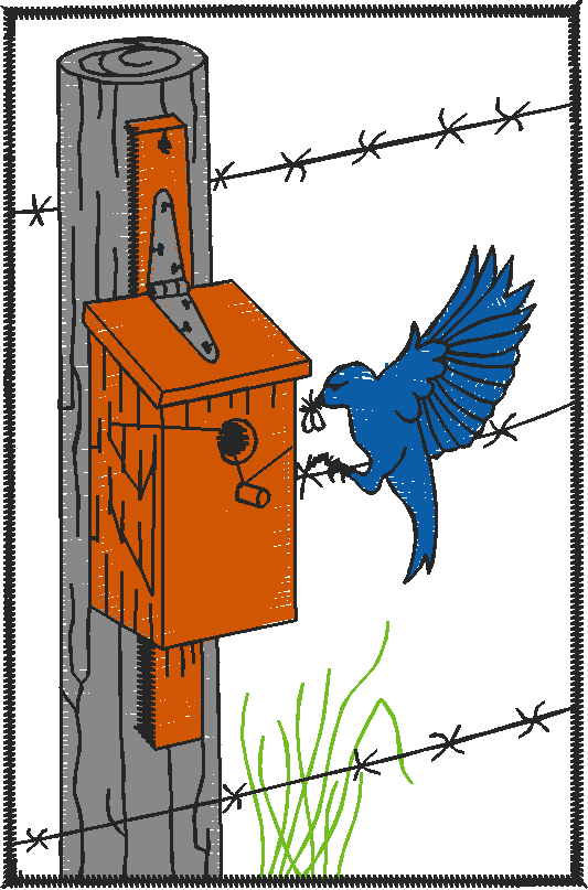 Bird Houses 5 (18)