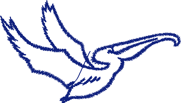 Birds 1 (118)