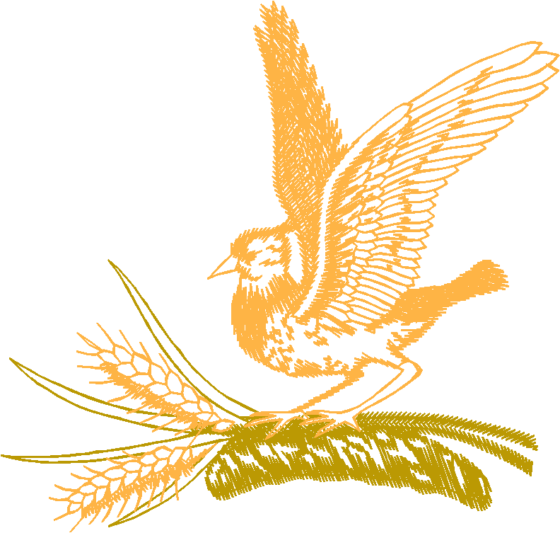 Birds 10 (16)