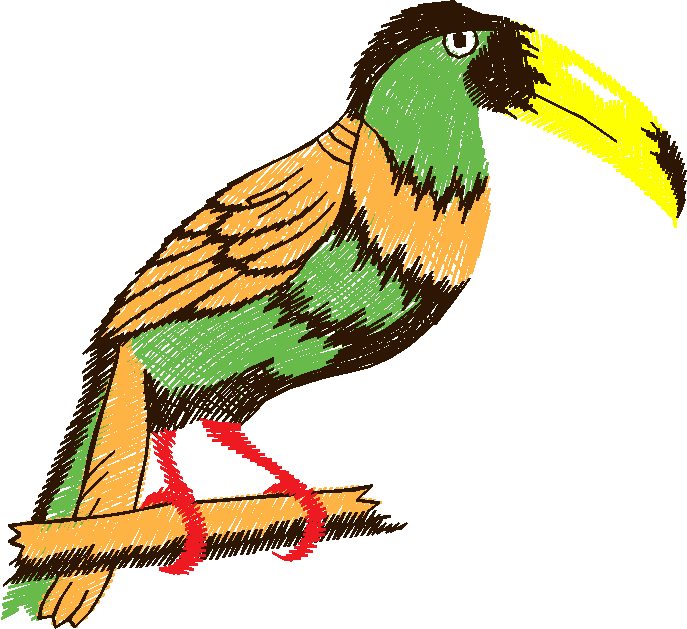 Birds 11 (12)