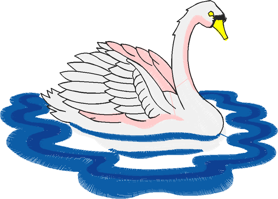 Birds 11 (24)