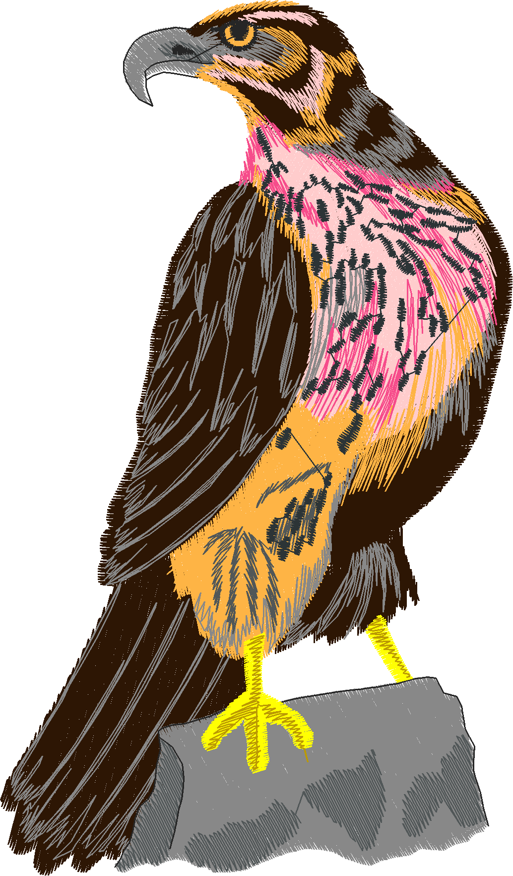 Birds 12 (14)