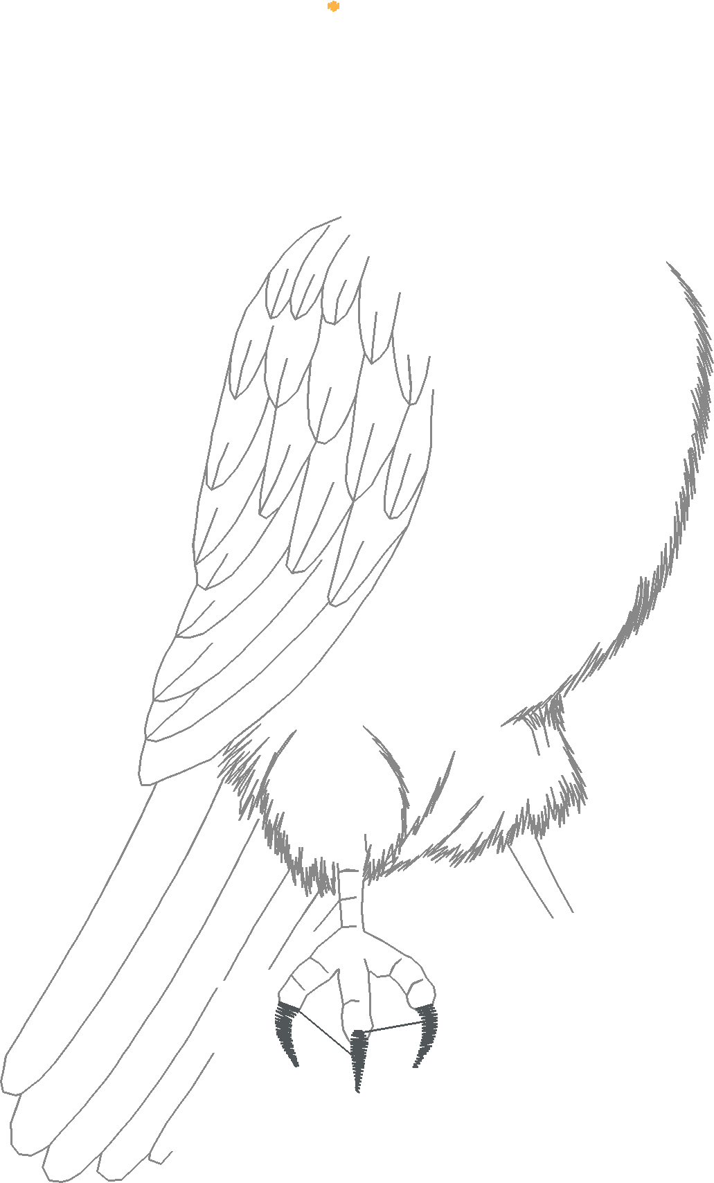 Birds 12 (15)