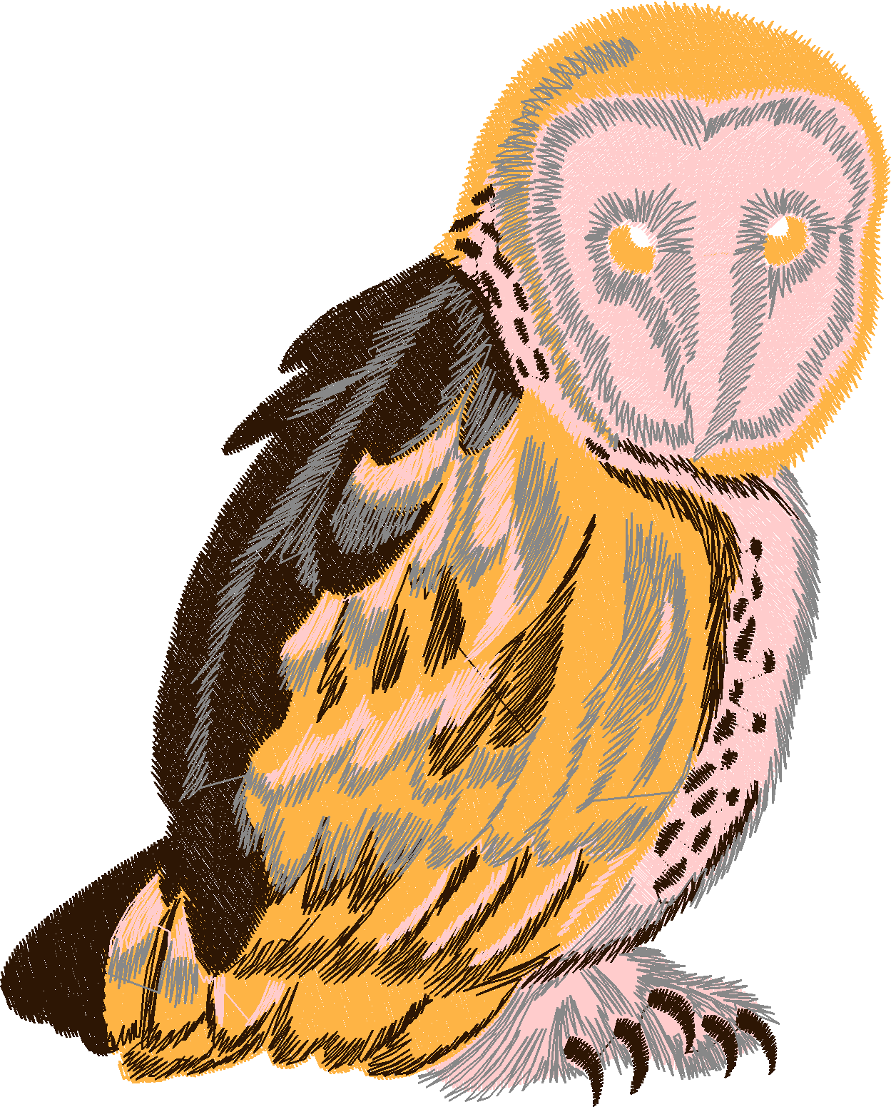 Birds 12 (5)