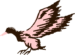 Birds 13 (10)