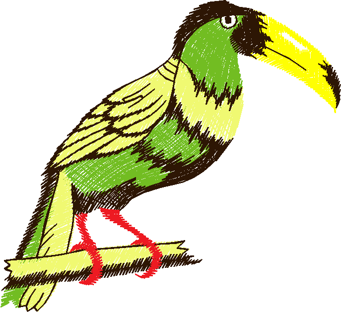 Birds 13 (12)