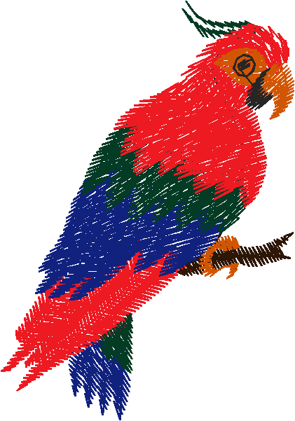 Birds 13 (13)