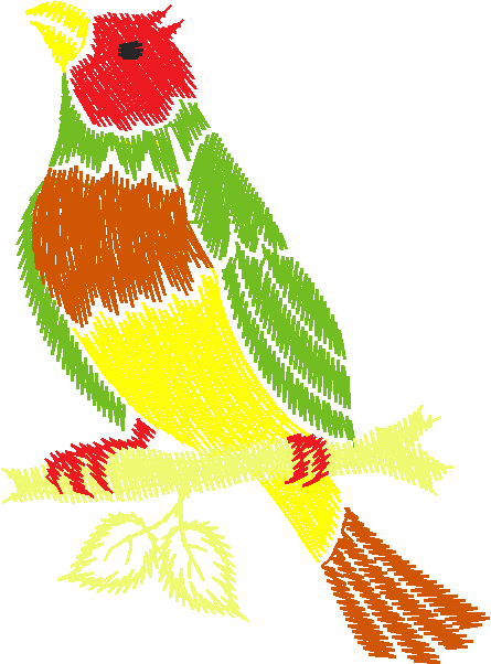 Birds 13 (15)