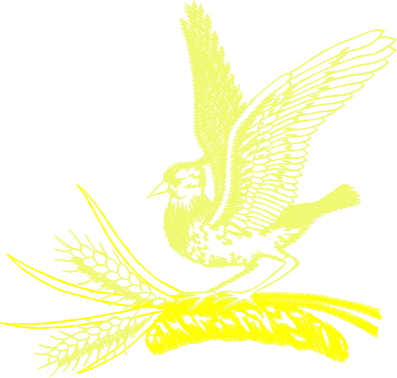 Birds 13 (16)