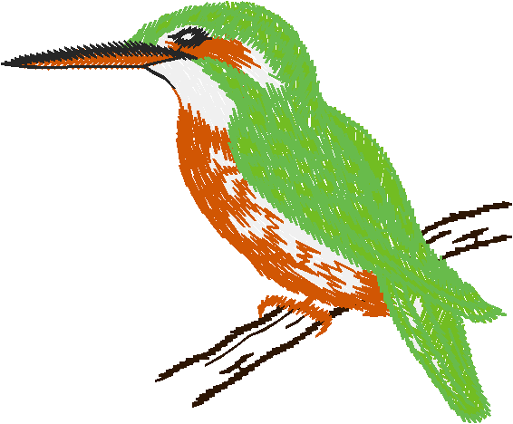 Birds 13 (18)