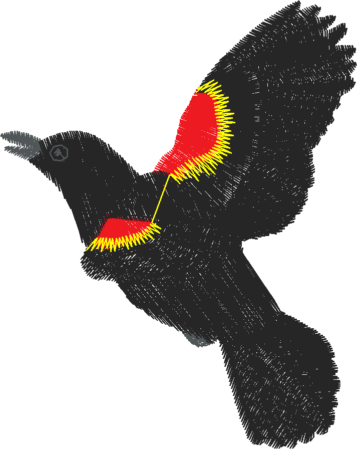 Birds 17 (12)