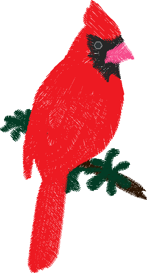 Birds 17 (3)