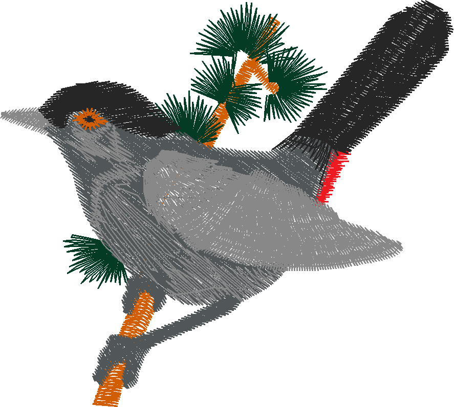 Birds 17 (5)