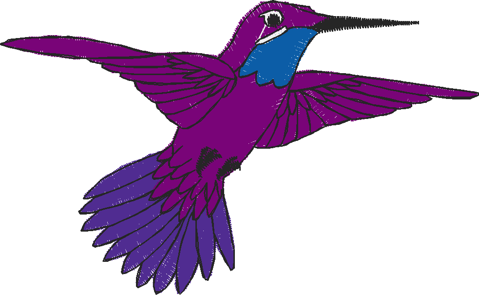 Birds 18 (1)