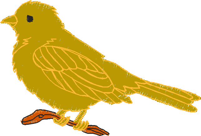 Birds 18 (14)