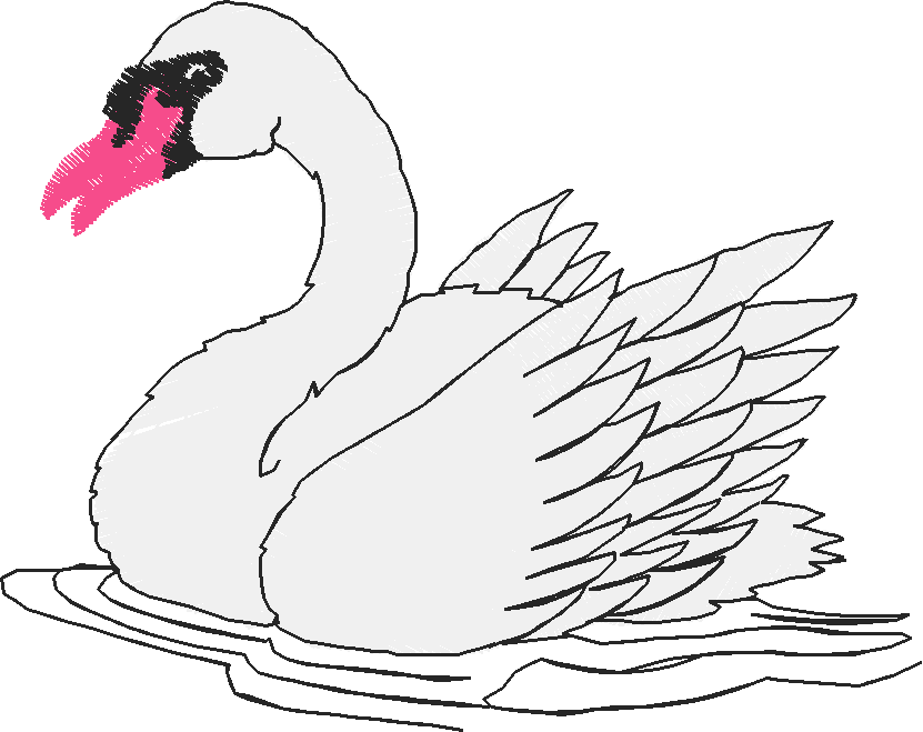Birds 18 (8)