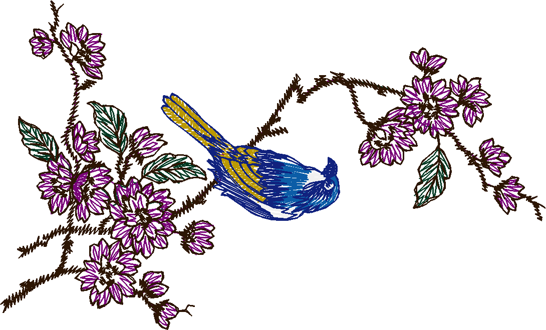 Birds 19 (28)