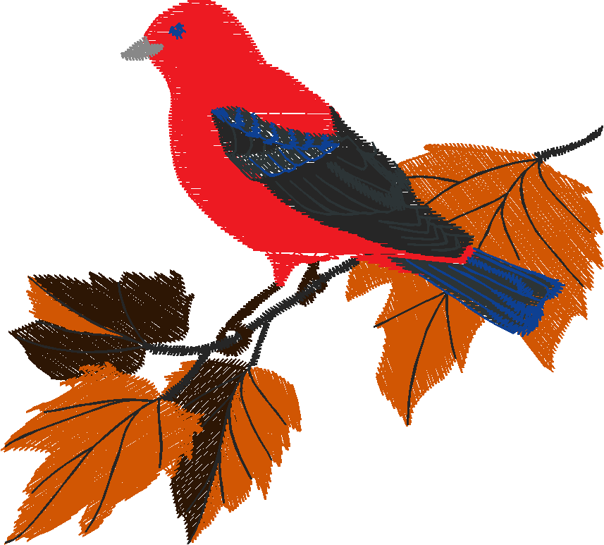 Birds 19 (32)