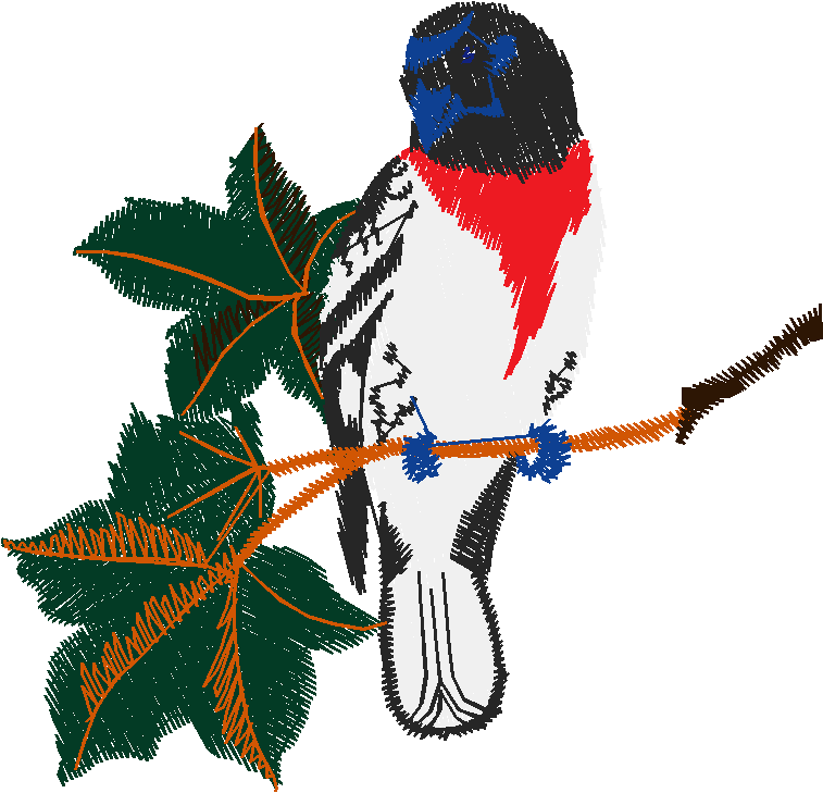 Birds 19 (34)