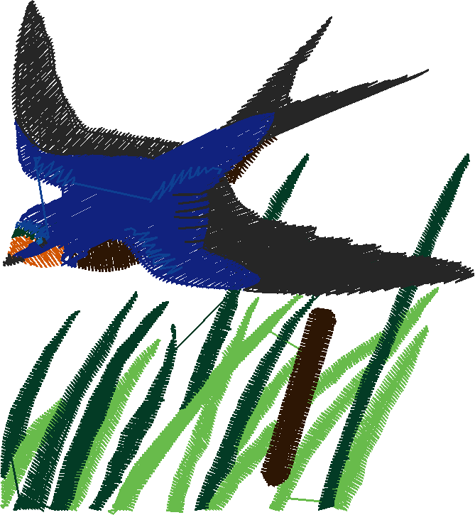 Birds 19 (37)